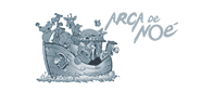 arca de noé